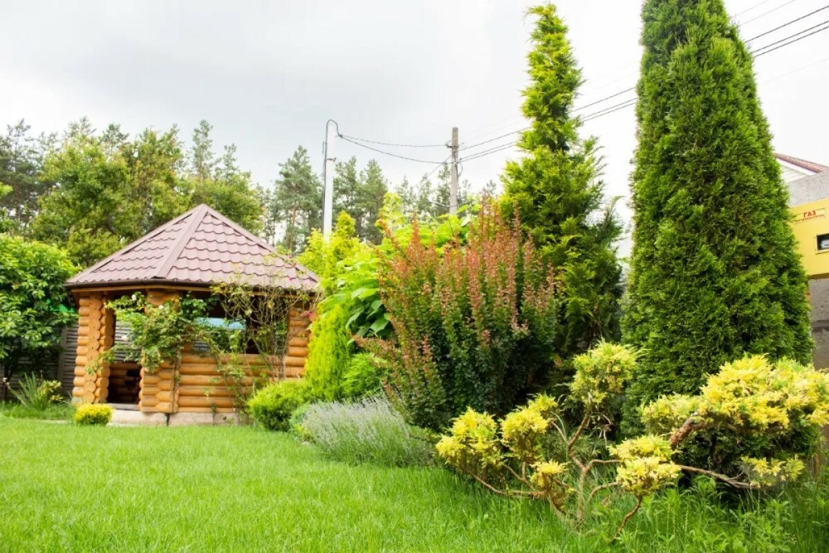 https://nizhnevartovsk.tgv-stroy.ru/storage/app/uploads/public/637/ef4/fb3/637ef4fb3605f391429275.png